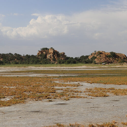 Outcropping geology in Eyasi region