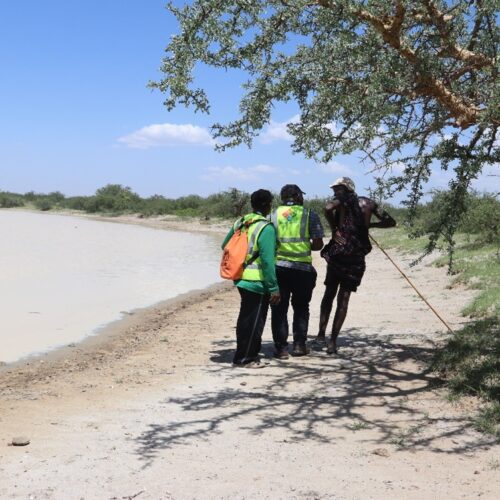 Shoreline of Lake Eyasi