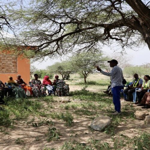 28.03.23 – The Team are meeting with local villagers during Environmental and Social Impact Assessment (ESIA) studies in the Eyasi region ahead of further exploration activity later this year.

The project is located within the Eyasi rift basin on the margin of the Tanzanian Craton.